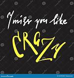 Expressing Profound Longing: Miss You Like Crazy Memes