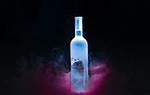 Exquisite High-End Vodka: a Connoisseur's Delight