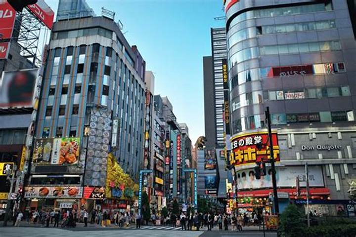 風神会館とは？歌舞伎町に存在した伝説の格闘技道場の真実