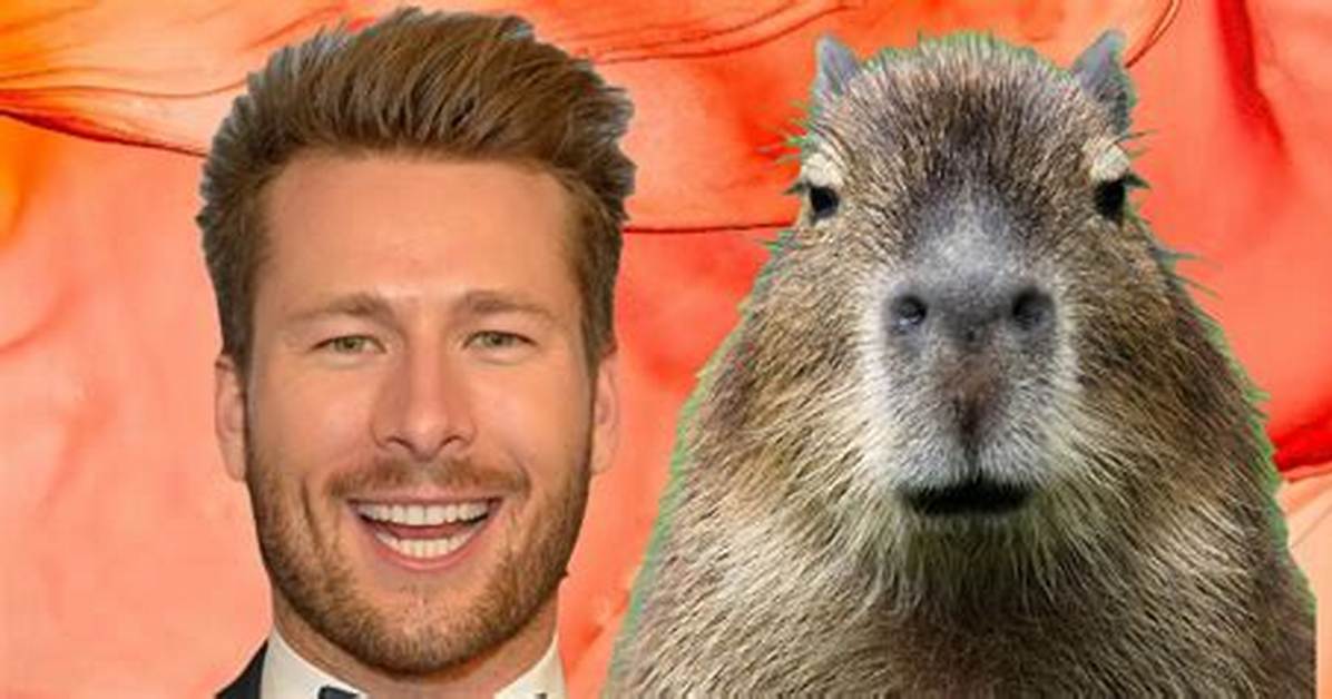 Glen Powell Capybara Meme: the Unlikely Internet Sensation