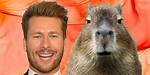 Glen Powell Capybara Meme: the Unlikely Internet Sensation