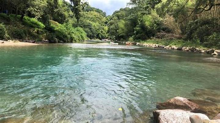 浜松・愛宕川（阿多古川）完全ガイド - 清流と自然が織りなす秘境