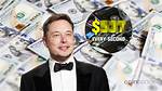 How Much Money Does Turtle Man Make? Latest Turtle Man Net Worth Income Salary