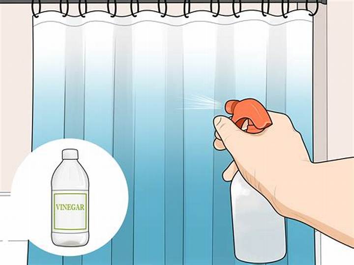 How to Clean a Shower Curtain: Rid Mildew Fast (Without Ruining It)