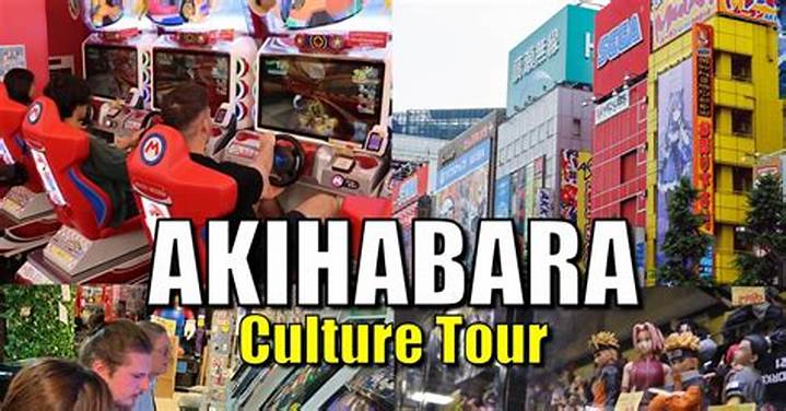 Https: //Www. Adelakun. Org/Akihabara-1/6912479/