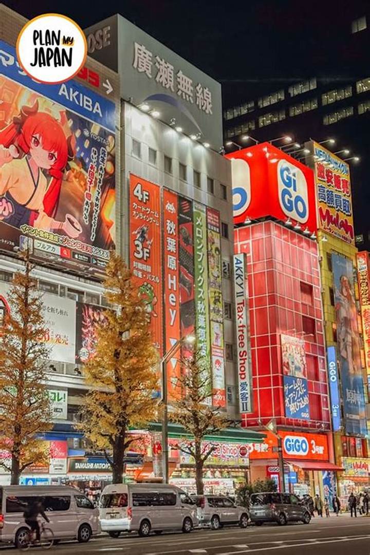 Https: //Www. Adelakun. Org/Akihabara/8275655/