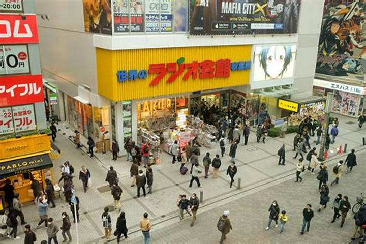 Https: //Www. Adelakun. Org/Akihabara/6792761/