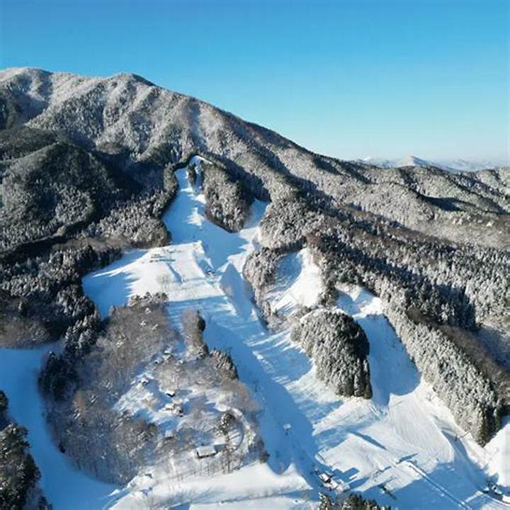 いぶきの里スキー場ガイド｜初心者から家族まで楽しむ降雪・設備・コツ
