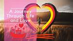 Ilene Connelly: a Journey Through Life and Accomplishments