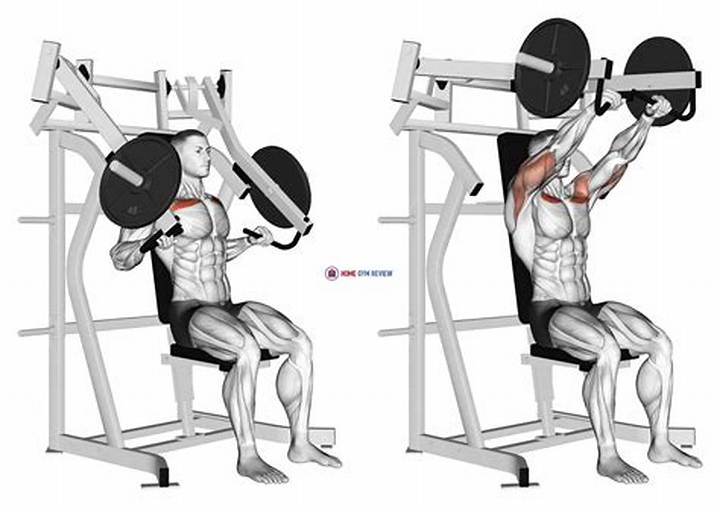 Incline Chest Press Machine: the Practical Guide to Better Pressing