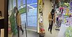Indecent Exposure: the Controversy Surrounding Dollar Tree Parking Lot Celebrity Incidents