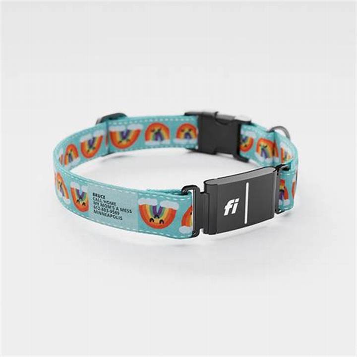 Jill Kittock Rainbow L Pattern Dog Collar: What Buyers Should Know