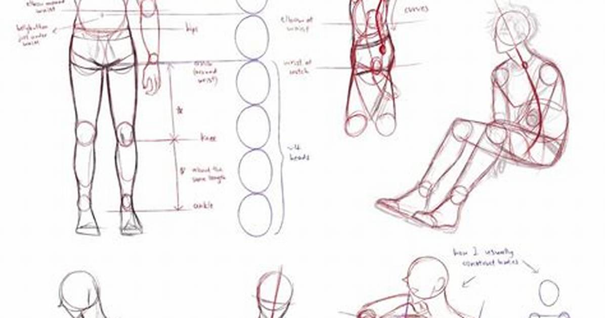 Mastering Body Base Drawing: a Comprehensive Guide for Artists