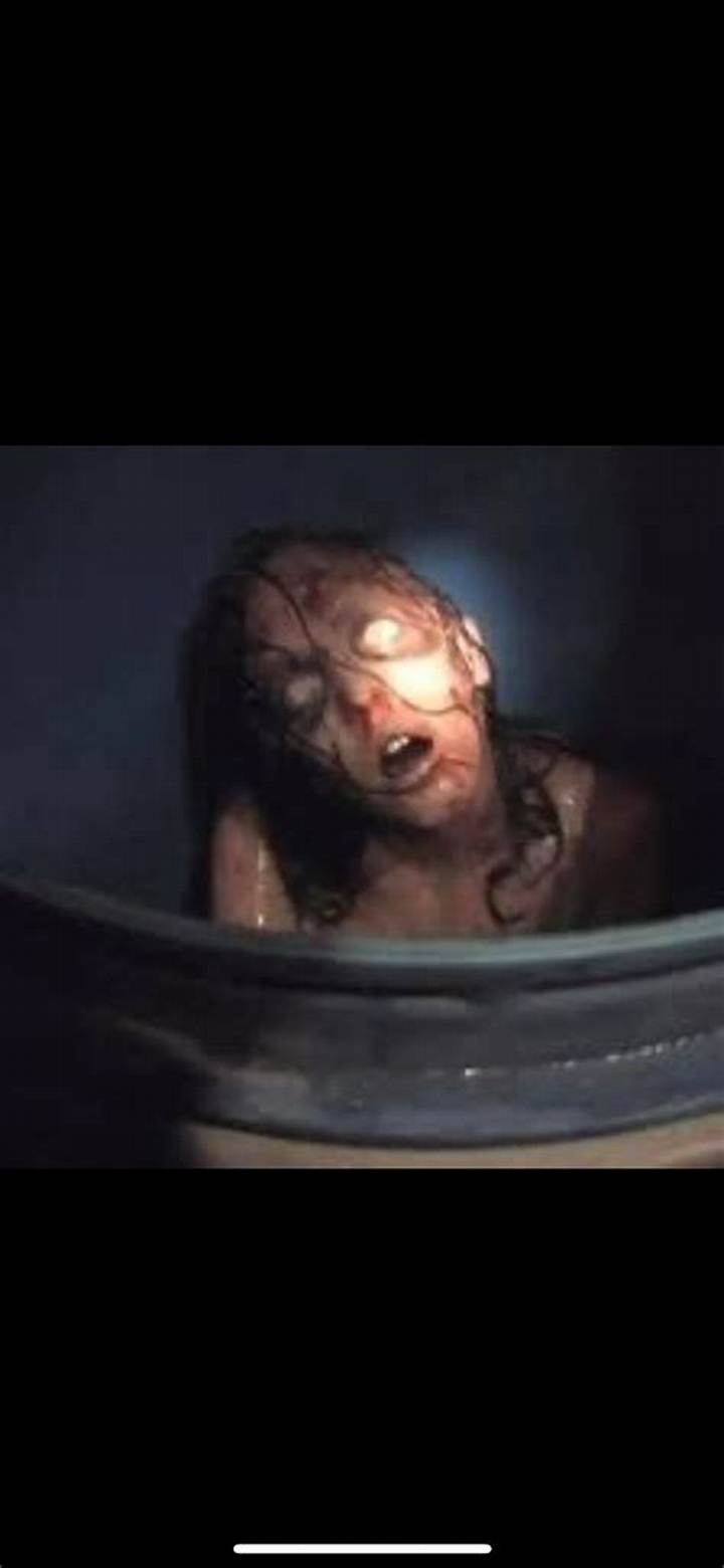 Megan Is Missing: What the “Barrel Scene” Gets Wrong—and Why It Matters