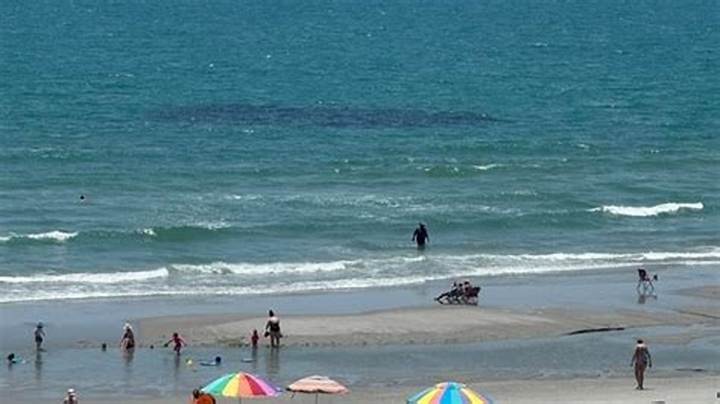Myrtle Beach Submarine Spotted: What Viral Videos Show (And What They Don’t)
