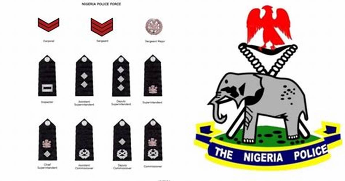 Nigerian Police Ranks: Understanding the Hierarchy and Functions
