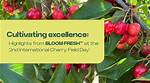 Premium Attitude Seeds: Cultivating Excellence