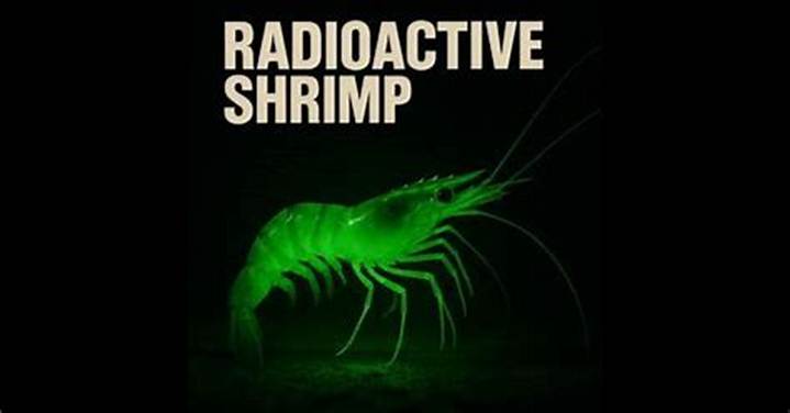 “Radioactive Shrimp” from a Walmart Song? What People Are Really Saying