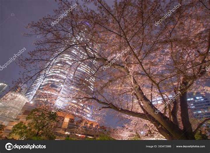 六本木の夜が才能を開花させる理由――東京最先端の舞台裏