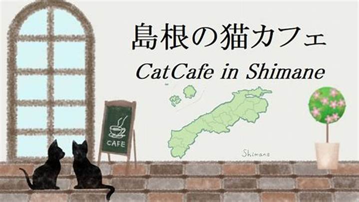 島根の猫カフェ最新ガイド！松江で出会う保護猫の癒やしと福祉が紡ぐ温かい物語