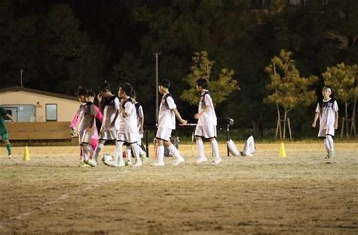 白鷺サッカーの現場を追う：堺白鷺Jscが貫く草の根育成と地域コミュニティの熱量