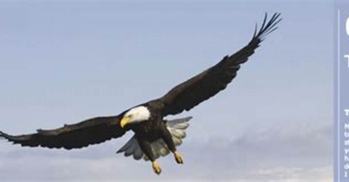 Soar to New Heights: Exploring the Majestic Summits of Mount Yamal