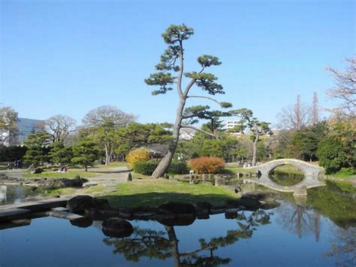 大阪・住吉公園の「すみすみマルシェ」が紡ぐ地産地消と地域コミュニティの未来