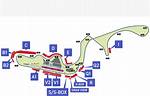 Suzuka International Racing Course: a Comprehensive Guide to Japan's Iconic Track