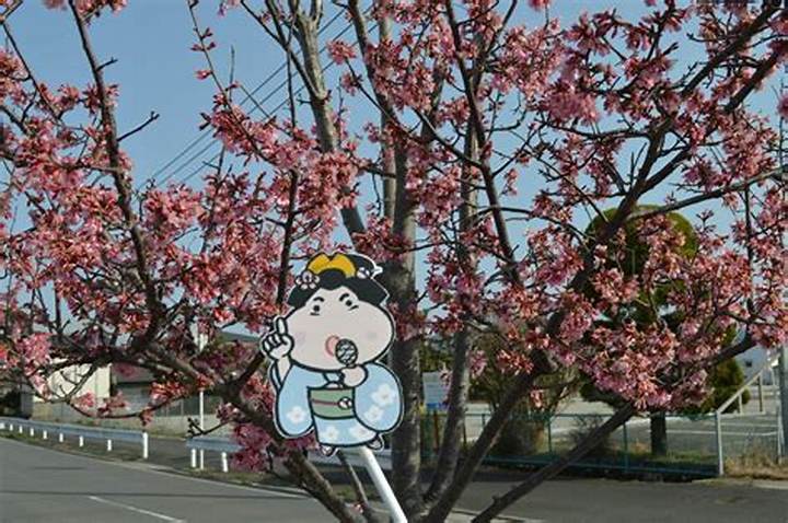 田川郡川崎町出身の有名人たち――知られざる才能の故郷