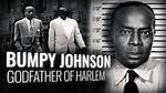 The Tragic Death of Bumpy Johnson's Daughter