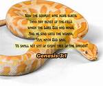 The Truth About the Serpent in the Garden of Eden |