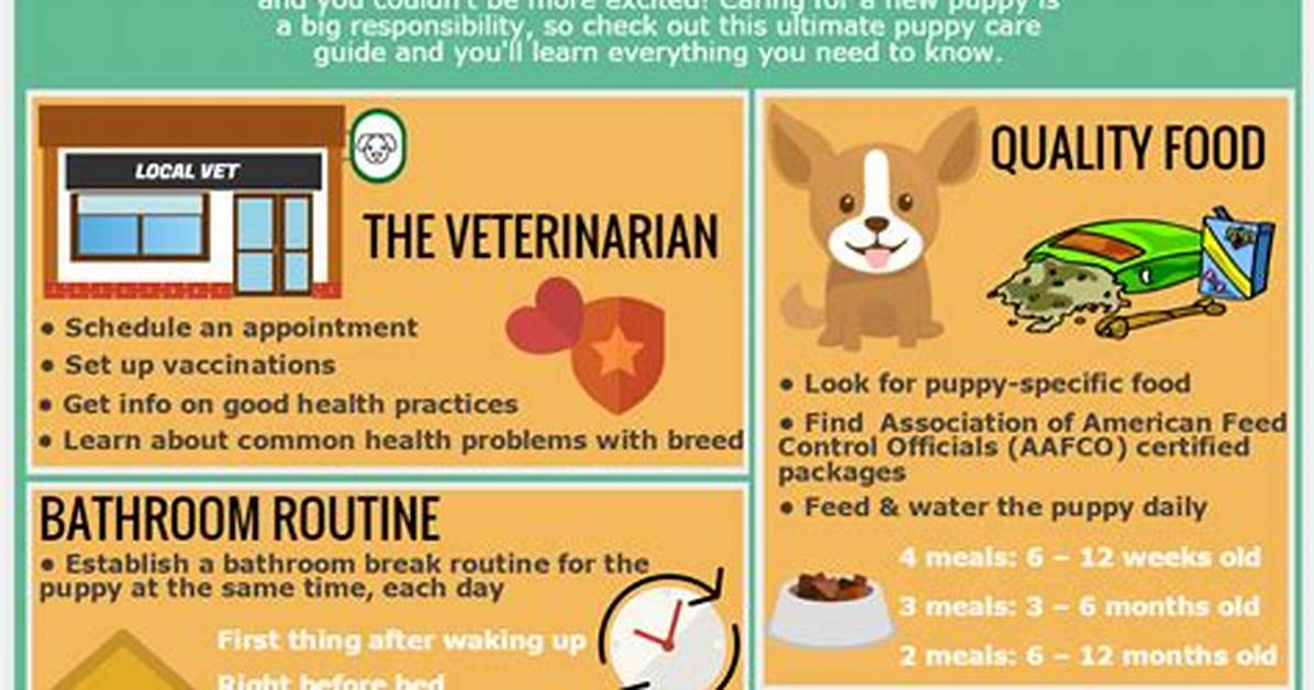 The Ultimate Guide to Dog Care: Everything You Need to Know