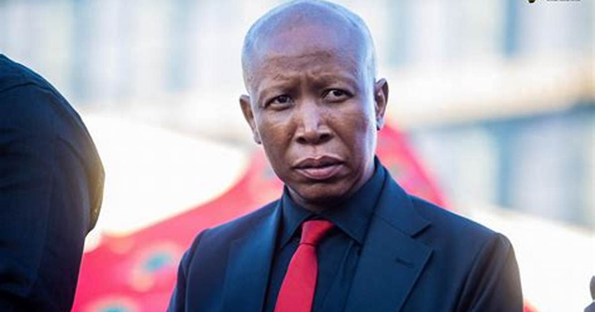 The Ultimate Guide to Julius Malema's Age