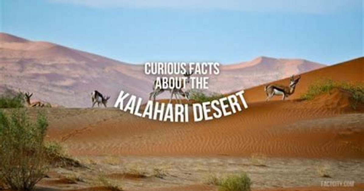 Uncover the Enigma of the Kalahari: Facts and Location Revealed