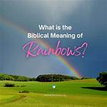 Understanding the Significance of Rainbow Stew Meaning