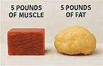 Understanding the Visual Representation of 10Lbs of Fat