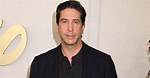 Unraveling David Schwimmer's Net Worth: a Look into the Life of Ross Geller