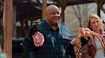 Unraveling the Bbq Showdown: Mary Fanto's Culinary Journey