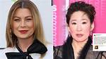 Unraveling the Friendship: Are Sandra Oh and Ellen Pompeo Friends?
