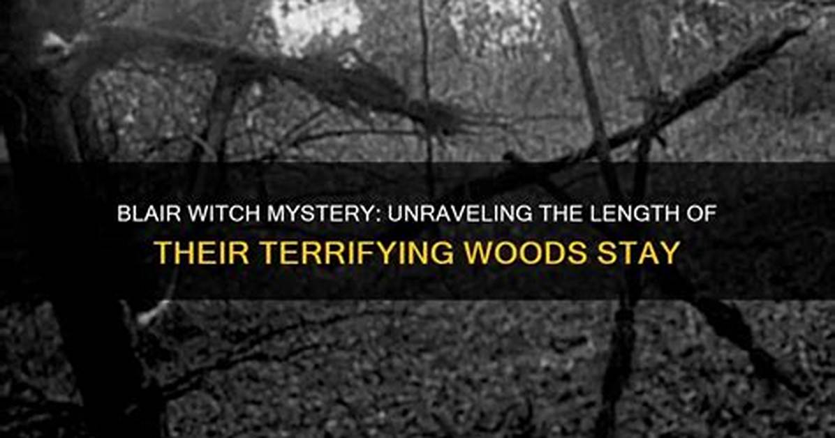 Unraveling the Mystery of Laura Blair Age