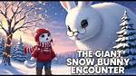 Unveiling the Allure of the Snow Bunny Watch: a Timeless Accessory for Winter Enthusiasts
