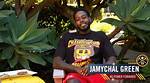 Unveiling the Enigmatic Life of Jamychal Green's Wife