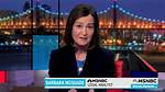 Unveiling the Personal Life of Msnbc's Alex Wagner: Who Is Her Husband?