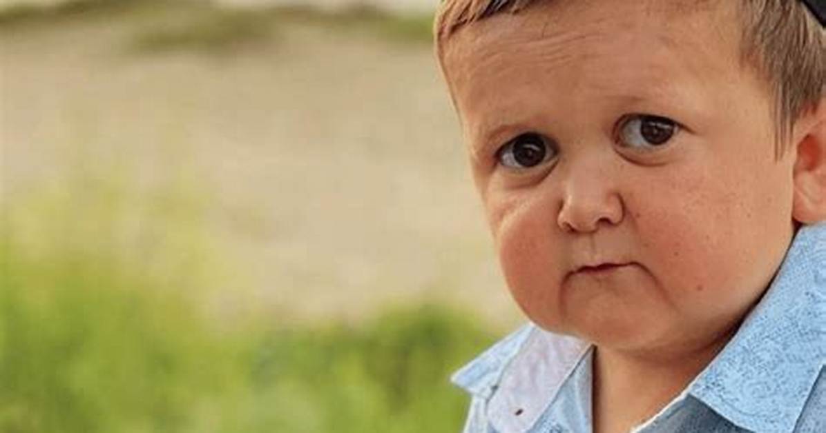 Who Is the Internet Sensation: Hasbulla Magomedov?