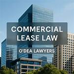 Wisdom from Commercial Lease Lawyers at Qbpl