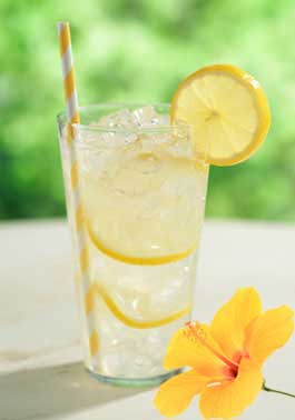 Peterson-Hibiscus Lemonade