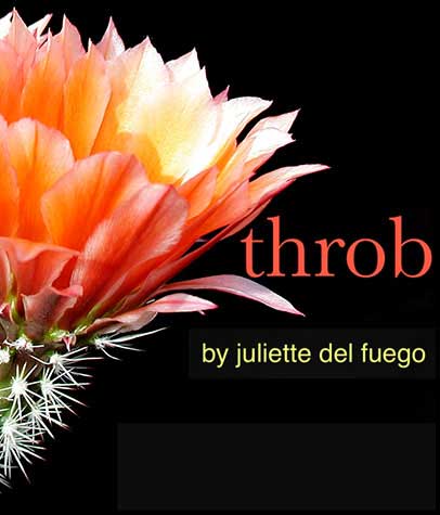 Excerpt: Throb, An Erotic Coming of Age Novel