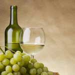 The Basics of Spanish Wine-MainPhoto