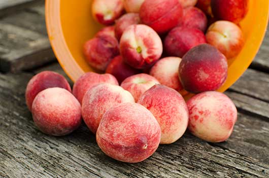 A Primer & Tasty Peach Recipes-MainPhoto