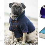 Cool Accessories for Stylish Pets